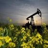 El petróleo de Texas cae un 6,8 % y cierra en 109,56 dólares el barril