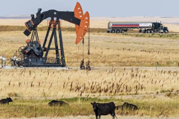 El petróleo de Texas baja un 7,9 % y cierra en 95,84 dólares el barril