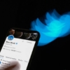 «Otra persona» podría dirigir Twitter antes de finalizar el 2023, según Elon Musk