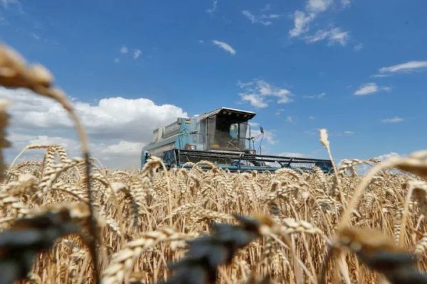 Comienza a establecerse el centro para controlar la salida de cereales