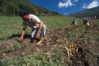Gremios piden destinar recursos del acuerdo petrolero con EE.UU. a la producci&oacute;n agropecuaria nacional