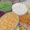 Precios de los cereales en descenso continuo ante el excedente de la oferta mundial