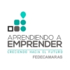 Fedecámaras anuncia el relanzamiento del programa Aprendiendo a Emprender