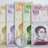 El bolívar gana terreno: 55% de las transacciones se realizan en moneda nacional