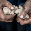 ONU afirma que la inseguridad alimentaria afecta a 10 millones de latinoamericanos