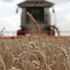 Ucrania perdió en el sector agricultura 30.000 millones de dólares