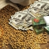 Argentina anuncia una reapertura del «dólar soja» para captar divisas