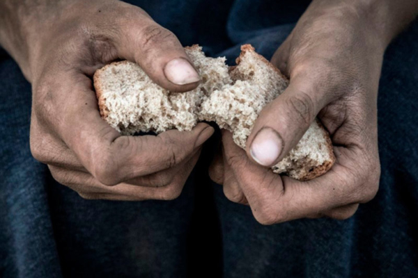 Informe Provea: 45,2% de la población padece inseguridad alimentaria