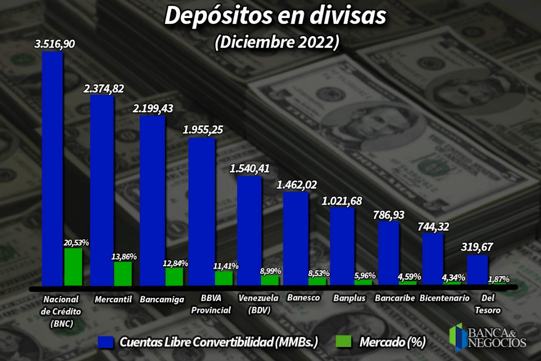 DEPOSITOS EN DIVISAS DIC 2022