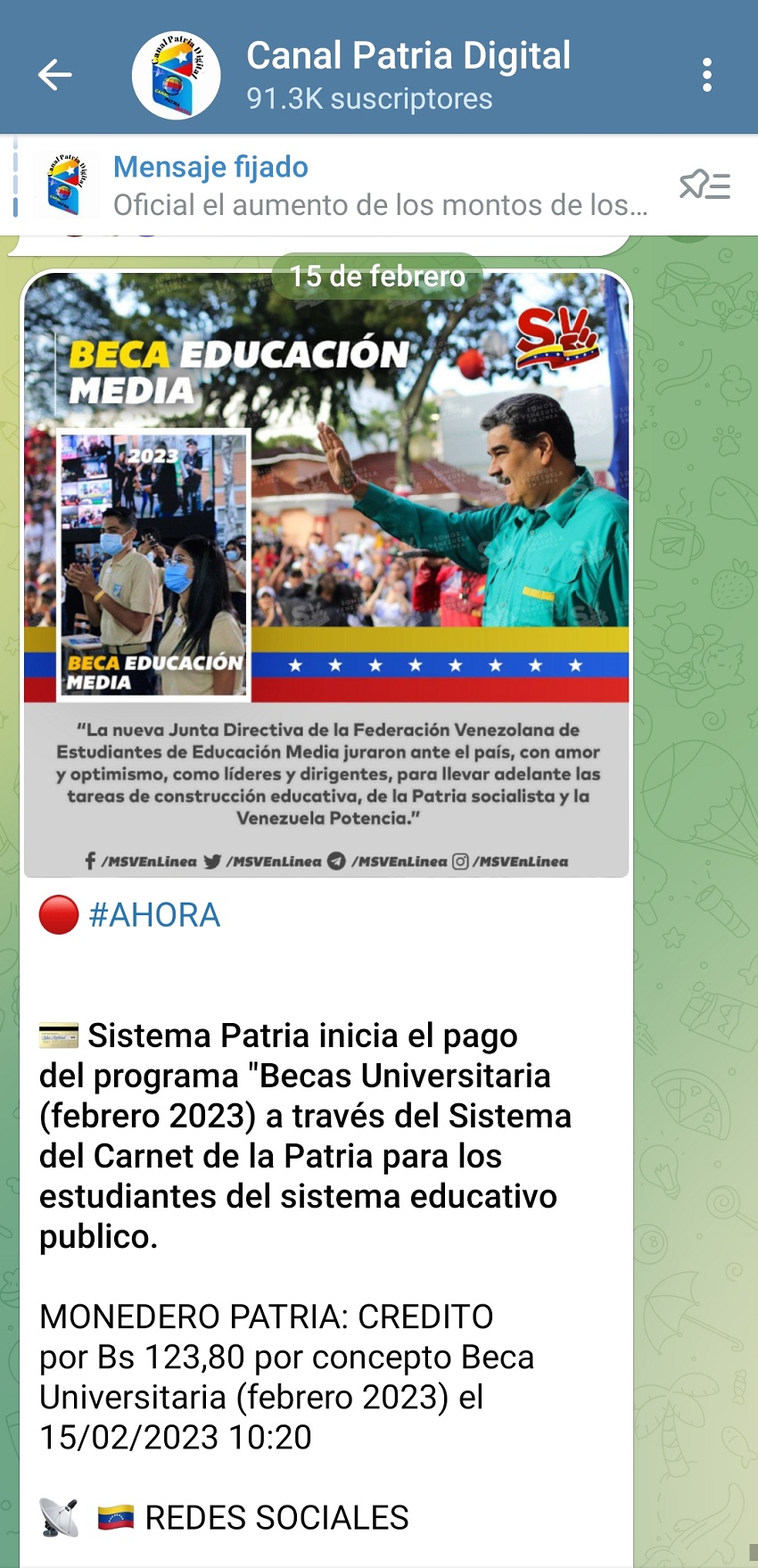 Comenzó el pago del programa «Beca Universitaria» de febrero por el sistema Patria (+monto)