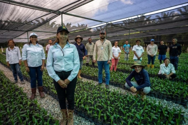 Venezolano Grupo San Simón busca certificación global de sostenibilidad para exportar aceite de palma