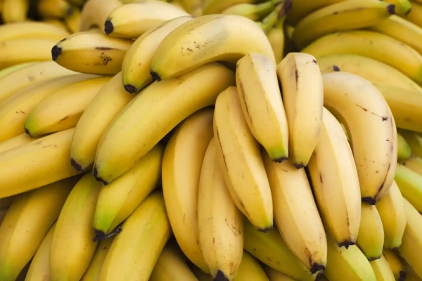 Plaga del Fusarium 4 centrará el noveno Congreso Internacional del Banano