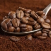 Brasil registró nuevo récord en exportaciones de café