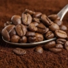 #Dato: Exportación de café de Sudamérica cae 11% en un año y con precios a la baja