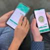 Banesco ofrece servicio de pago móvil con su Cuenta Verde en divisas