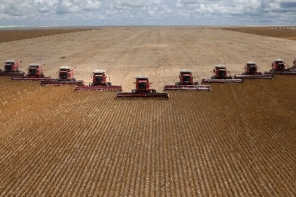 La agroindustria brasileña explora nuevas oportunidades de negocios en el mercado chino