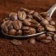 Ejecutivo nacional establece “precios justos” para los productores de café