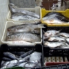 Los consumidores pagan precios de penitencia para comer pescado esta Semana Santa