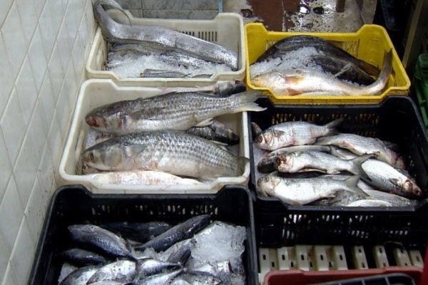 Los consumidores pagan precios de penitencia para comer pescado esta Semana Santa