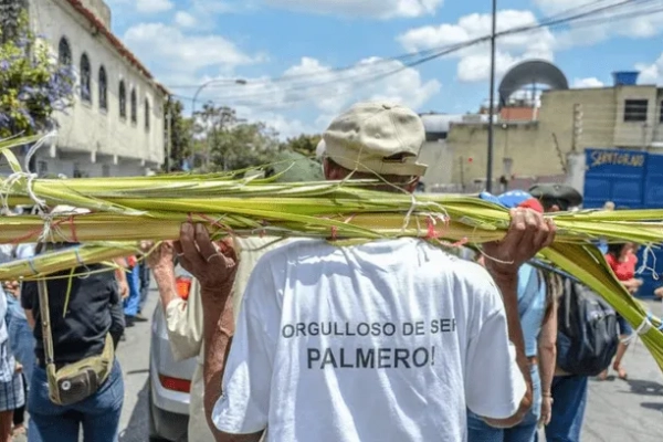 A las puertas de Semana Santa | Palmeros de Chacao bajarán del Ávila este sábado