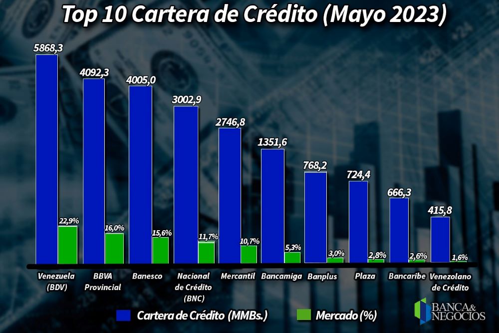 Cartera de créditos Top 10 de la Banca venezolana