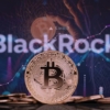 BlackRock solicita lanzar un fondo indexado de bitcoin en Estados Unidos