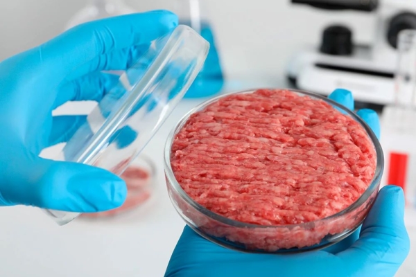 FDA de Estados Unidos aprueba venta de carne de pollo cultivada en laboratorio