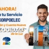 BNC ofrece multiplataforma de pago para servicio Corpoelec