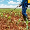 Estos son los controles y obligaciones que contiene la sancionada Ley de Trabajadores Agrícolas