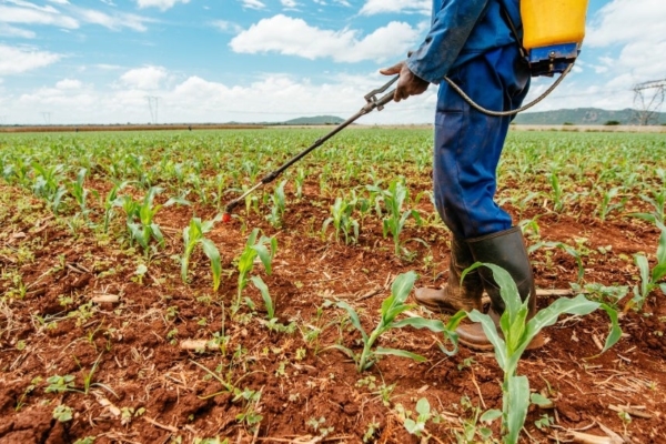 Estos son los controles y obligaciones que contiene la sancionada Ley de Trabajadores Agrícolas