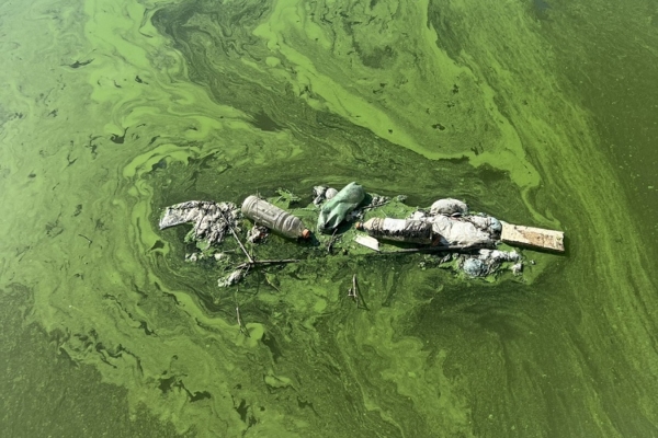 «Pérdidas totales»: La contaminación en el lago de Maracaibo afecta a pescadores