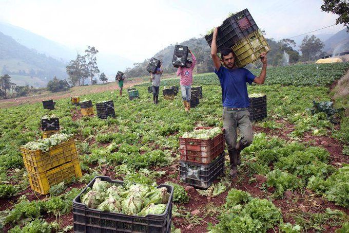 El déficit de créditos afecta especialmente a varios sectores, como el agrícola.