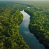 El BID y el Banco Mundial se unen para proteger el Amazonas de la deforestación