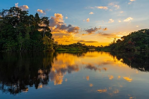 Histórico referéndum detiene explotación petrolera en Amazonia ecuatoriana