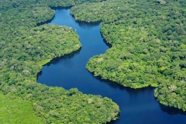 Los ilícitos están «incrustados» en la Amazonía, advirtió la secretaria de la OTCA