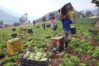 #An&aacute;lisis: El despertar agroindustrial de Venezuela: de la capacidad instalada a la potencia exportadora