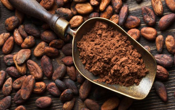 7.500 productores de cacao en el estado Sucre anuncian que no habrá zafra este año.
