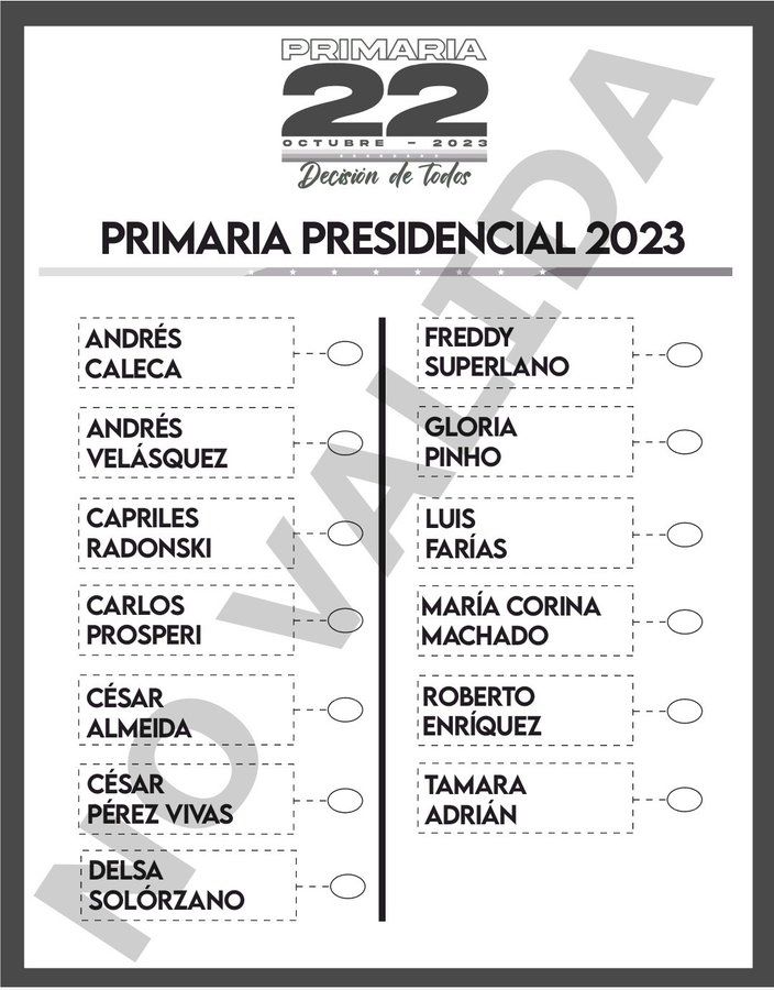 La boleta electoral de la primaria opositora ya fue dada a conocer.