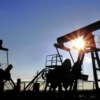 Su nivel más bajo en 4 meses: Crudo OPEP retrocede a US$ 81,08 por barril