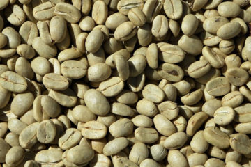 Exportan 24 mil 600 kilos de caf&eacute; verde desde T&aacute;chira hacia Estados Unidos