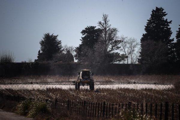 Argentina prevé un aumento del 70 % en la campaña agrícola 2023-24 tras la sequía