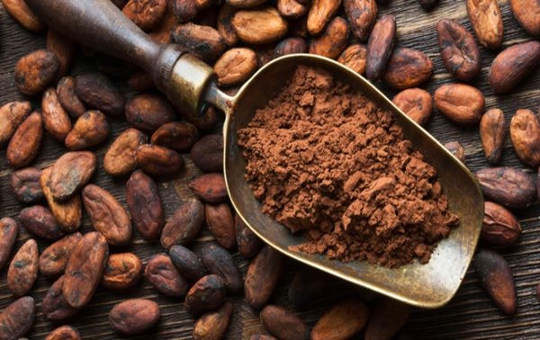 #Claves «Boom» de precios del cacao se mantendrá en 2024: estas son las razones