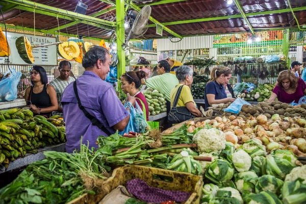 Fedeagro lanza alerta: Alimentos perecederos sin permisos sanitarios están ingresando al país