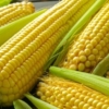 El equivalente a US$ 3.994.169: Bolpriaven realizó su operación más grande a la fecha en el rubro de maíz