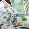 El dólar marca un nuevo máximo histórico frente al peso cubano en el mercado informal