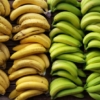 Carabobo exportará 100 mil kilos de plátano al mes a Shánghai