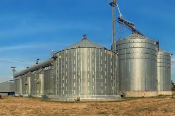 Inici&oacute; la cosecha del ciclo invierno 2026: Buscan almacenar m&aacute;s de 2,5 millones de toneladas m&eacute;tricas de cereales