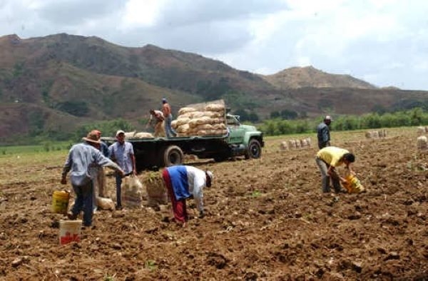 #Encuesta | El campo se vacía: aumenta 48% emigración en zonas rurales del país