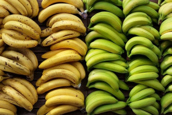 Carabobo exportará 100 mil kilos de plátano al mes a Shánghai