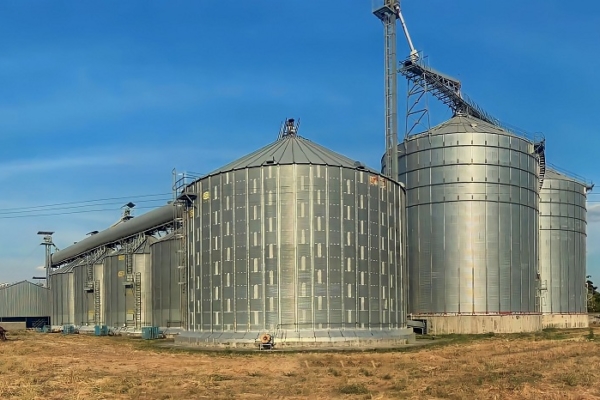 Inici&oacute; la cosecha del ciclo invierno 2026: Buscan almacenar m&aacute;s de 2,5 millones de toneladas m&eacute;tricas de cereales